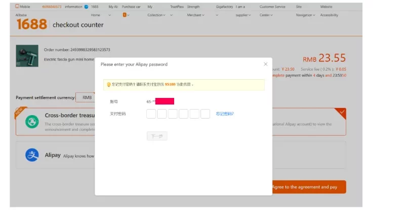 enter your Alipay password and that’s it!