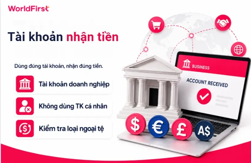 Bạn cần sử dụng đúng tài khoản doanh nghiệp, không sử dụng tài khoản cá nhân