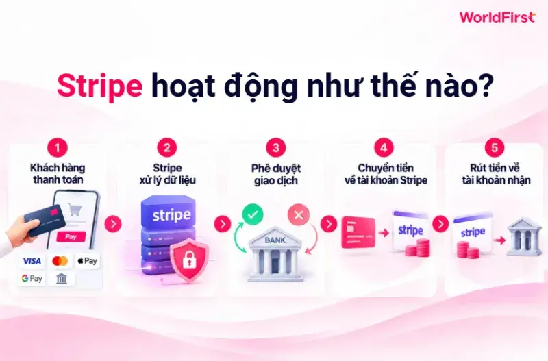 Stripe hoạt động theo quy trình 5 bước từ khi khách thanh toán đến rút về tài khoản